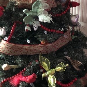 Meet your Posher, Ann